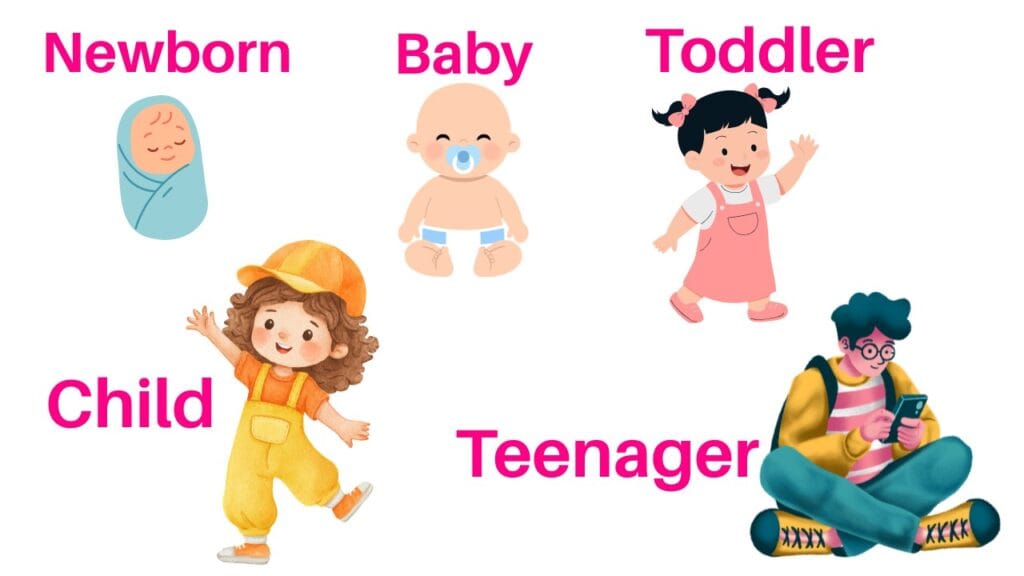 Childhood Stages